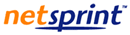 NetSprint, ekspansja zagraniczna i 34% wzrostu w 2009 roku